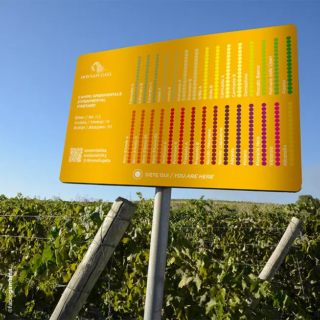 Campo sperimentale e biodiversità