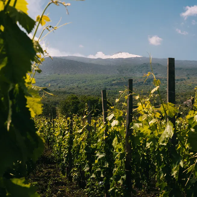 Clima. L'anima continentale accarezzata dal sole di Sicilia