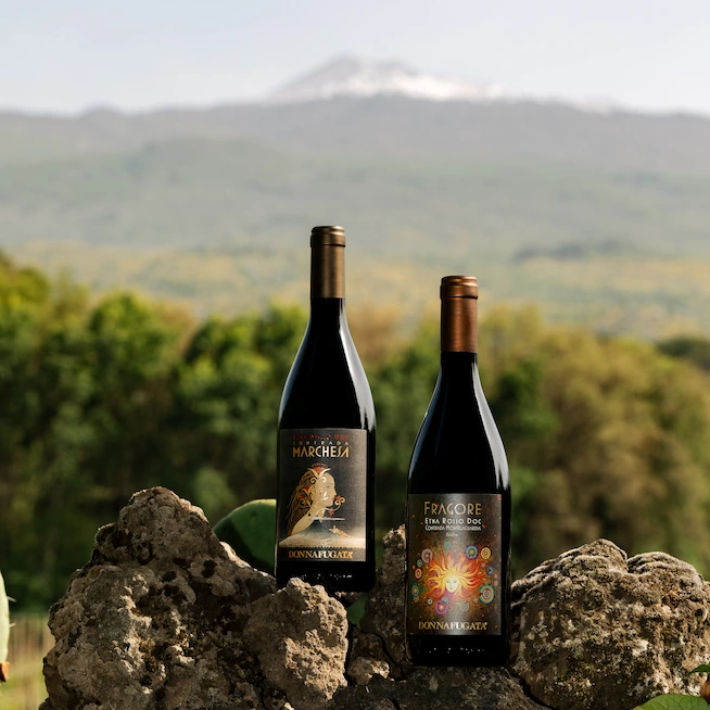 I cru dell'Etna, eleganza vulcanica
