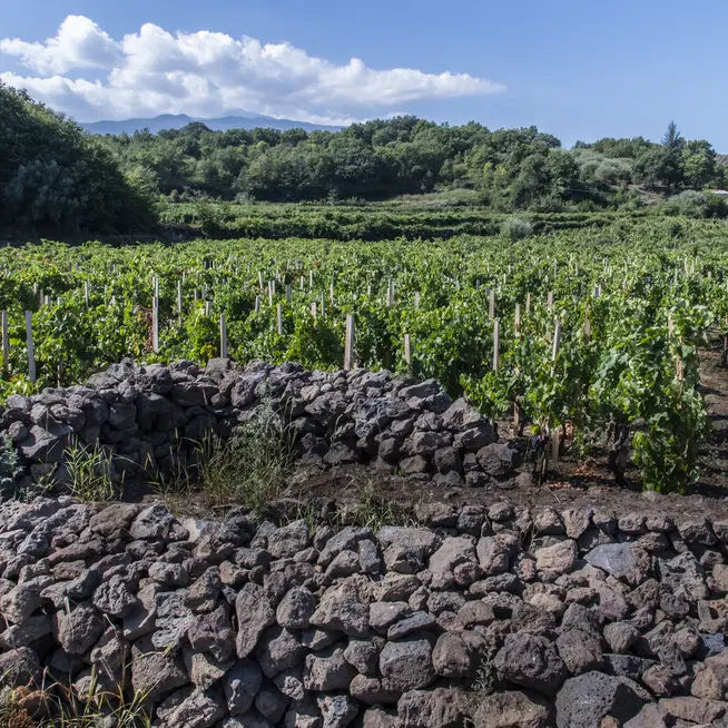 Muretti a secco e tutela del paesaggio