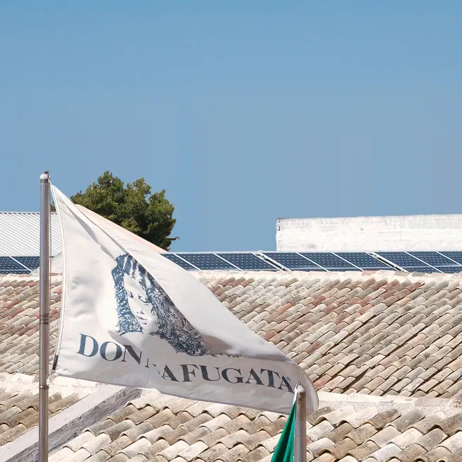 Fotovoltaico ed energia pulita