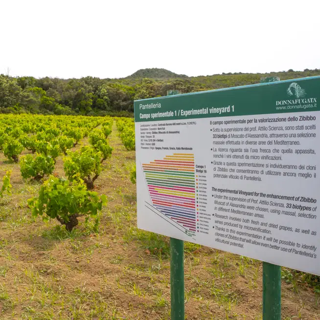 Campo sperimentale e biodiversità