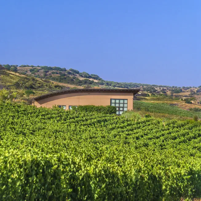 Cantina di Vittoria e architettura sostenibile