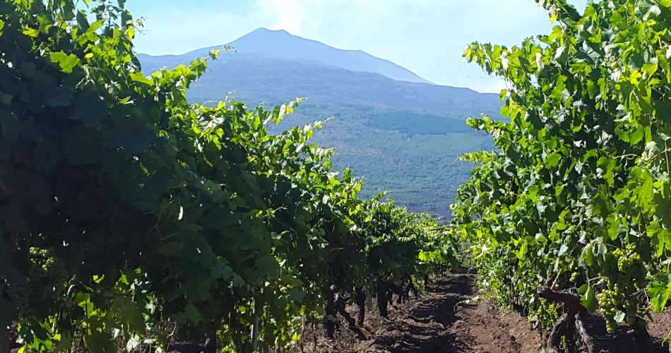 La Sicilia di Donnafugata è anche Etna e Cerasuolo di Vittoria