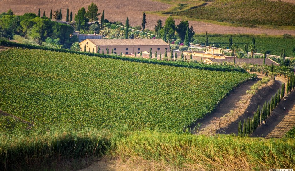 Donnafugata apre Contessa Entellina ai wine lovers