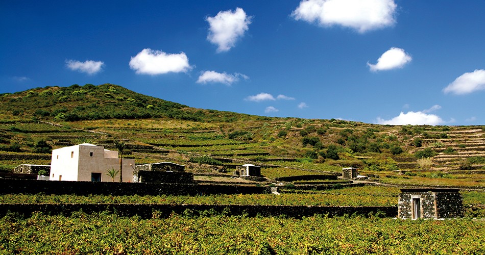 Pantelleria diventa Parco Nazionale, il primo in Sicilia