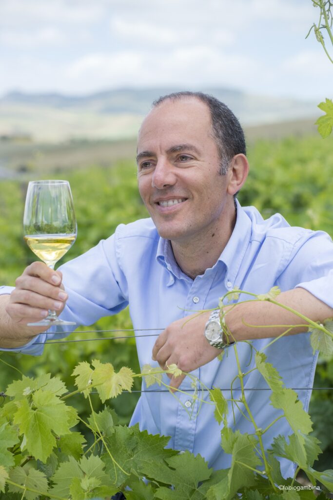 Die Weinlese bei Donnafugata: Günstiges Klima bringt ausgezeichneten Jahrgang hervor