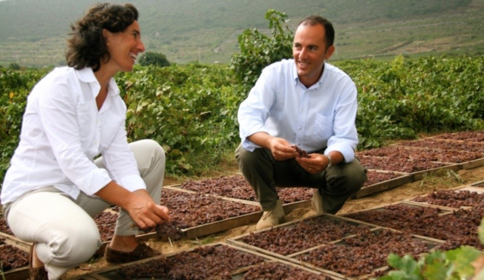 Ben Ryé 2012 di Donnafugata, miglior vino dolce d’Italia