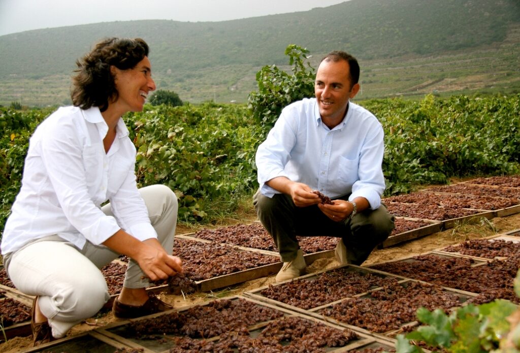 Donnafugata für die Biodiversität und die Aufforstung von Pantelleria