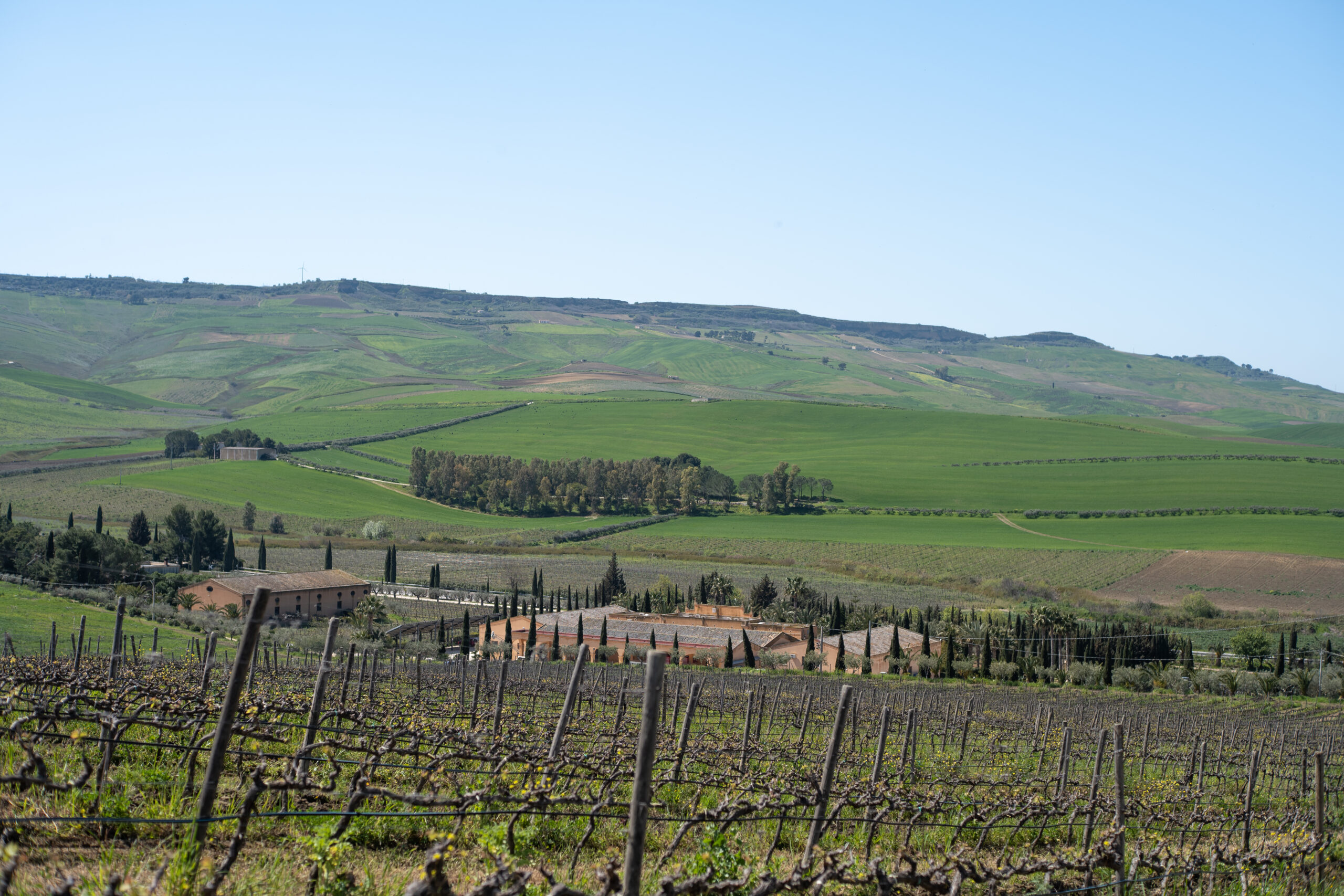 Contessa Entellina