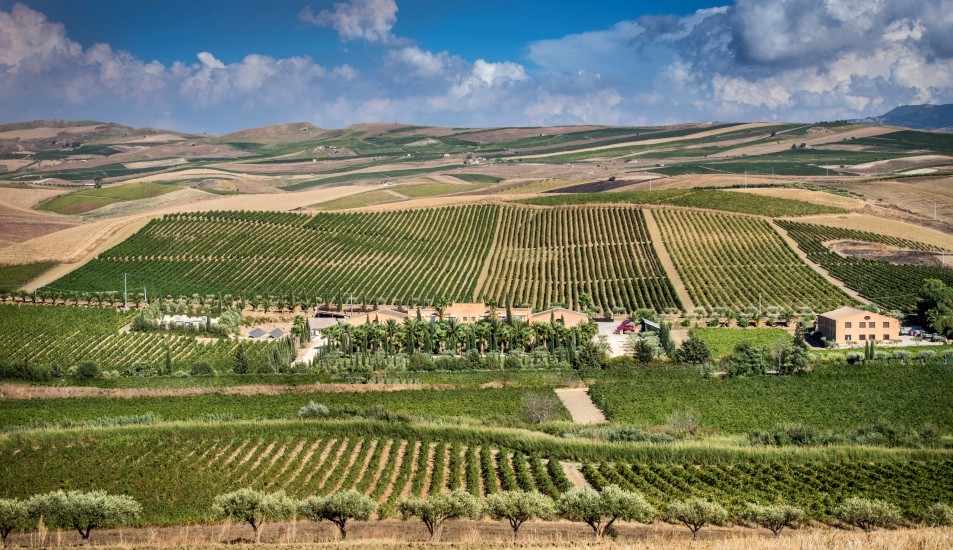Si apre la Vendemmia 2017 a Donnafugata