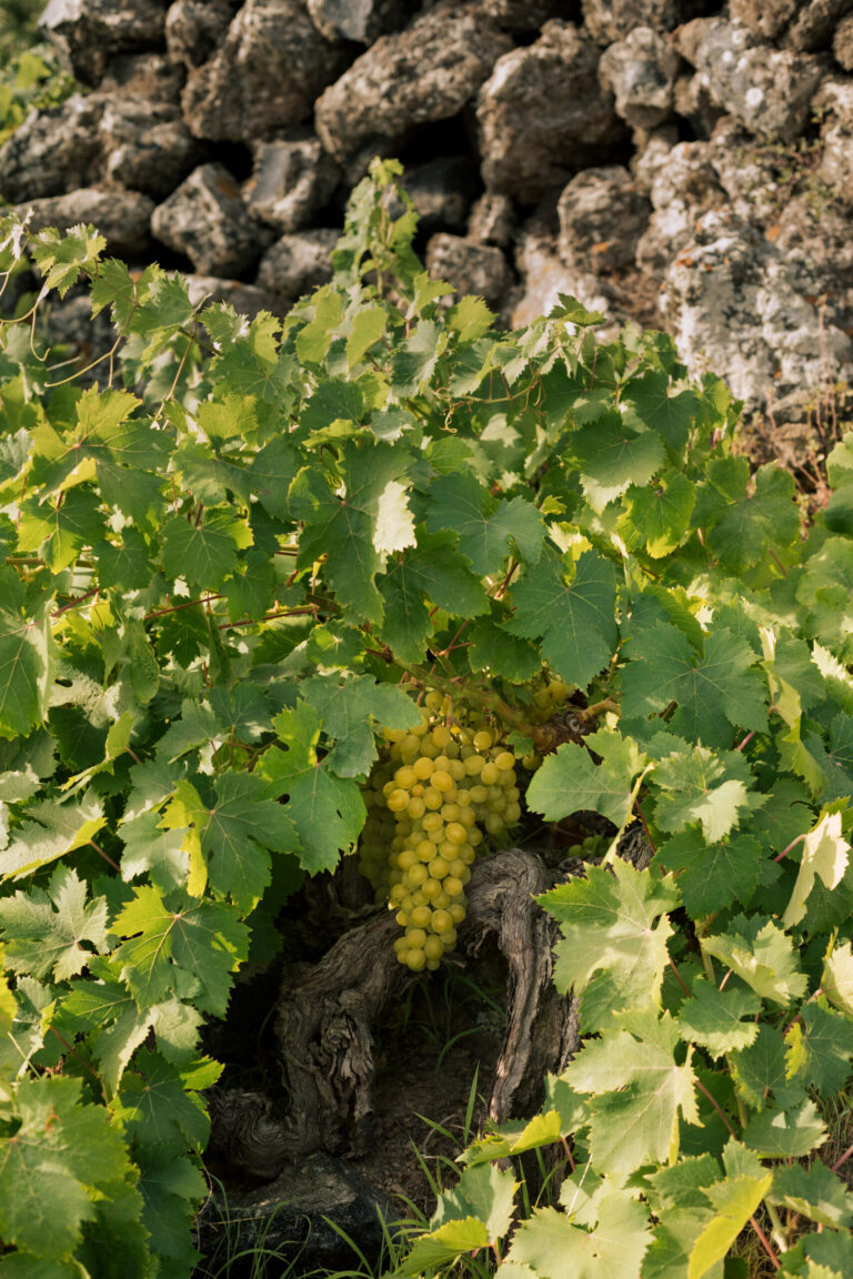 Pantelleria