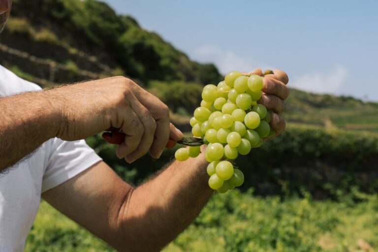 Pantelleria