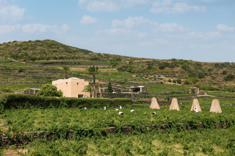Pantelleria