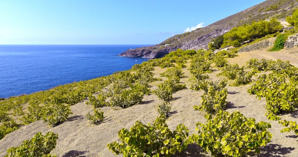 La Sicilia della bellezza e del vino, i Georgofili a Donnafugata