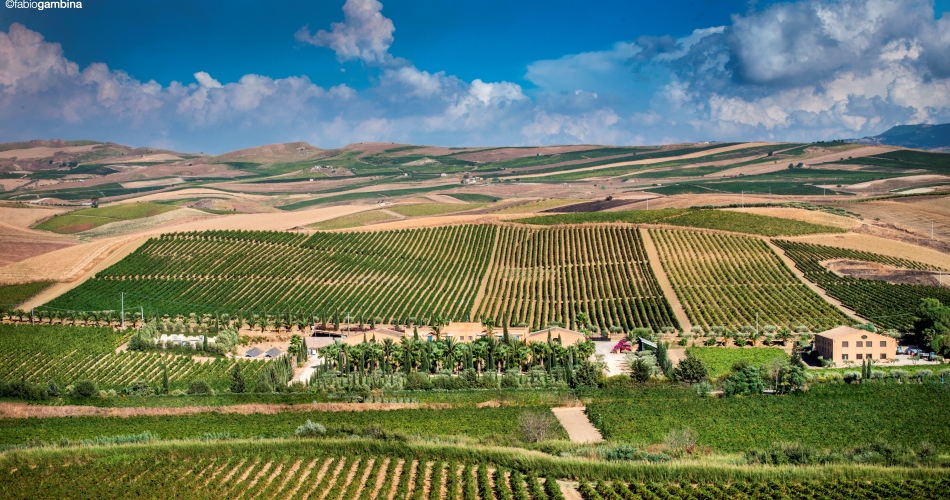 Donnafugata renews its cultural commitment to Normale di Pisa and finances the purchase of a drone for aerial photographs of archeological sites.The project will be presented during the ceremony conferring the Giuseppe Nenci Awards, on December 14.