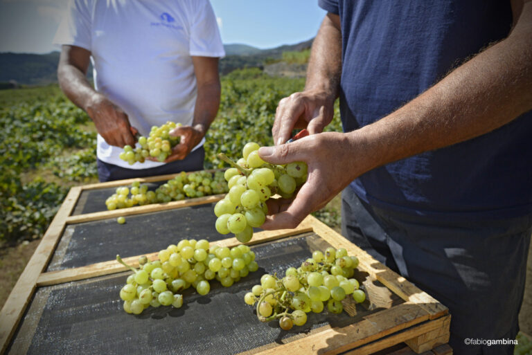 Pantelleria