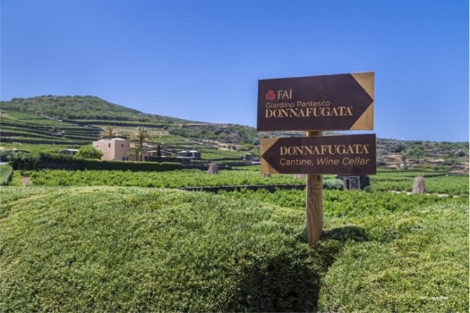 Enoturismo a Donnafugata