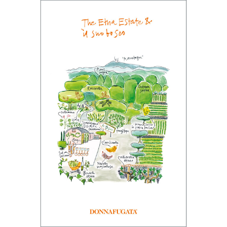 Etna Estate & surrounding woodland