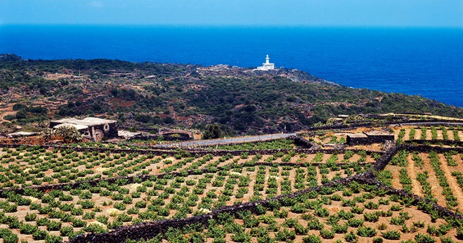 Pantelleria 1968-72, “Emozioni di un paesaggio” nelle foto di Renato Bazzoni