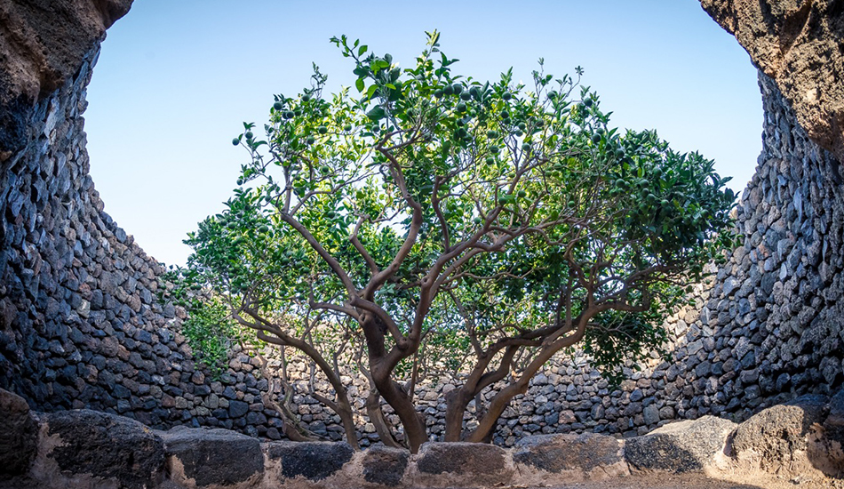 Donnafugata @ Giornate FAI d’Autunno