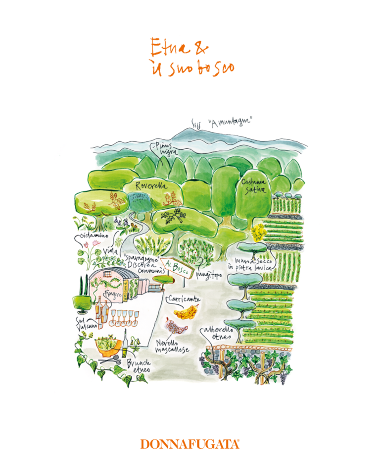 I Giardini di Donnafugata – Etna
