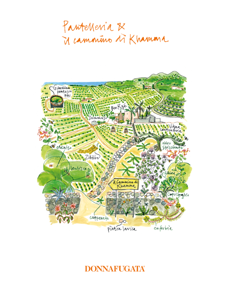 I Giardini di Donnafugata – Pantelleria