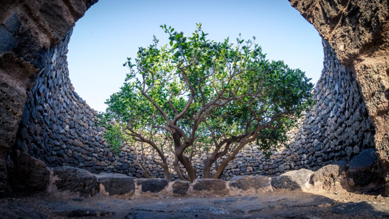 Pantelleria