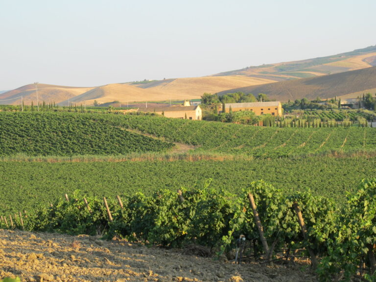 Contessa Entellina