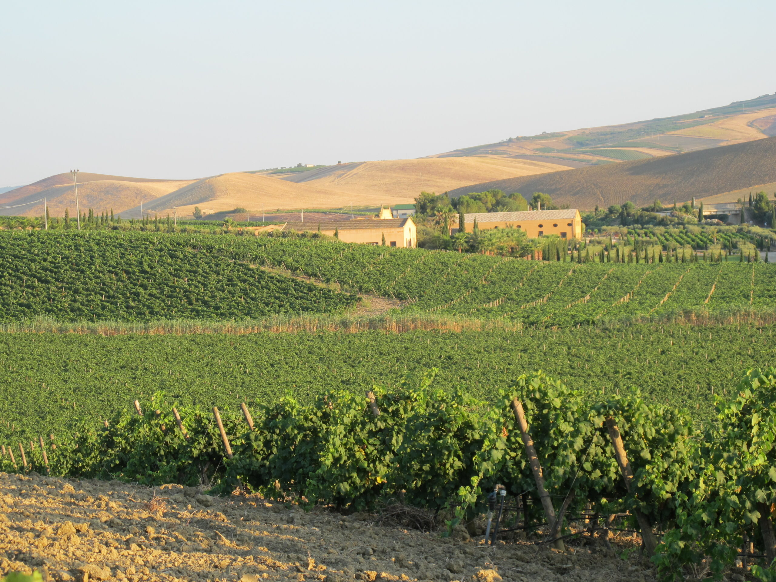 Contessa Entellina
