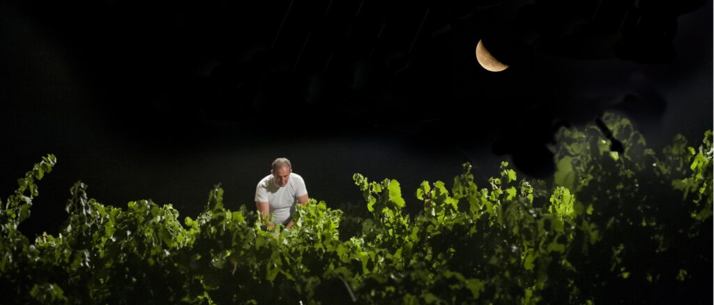 A Calici di Stelle 2018 i Quiet Enseble