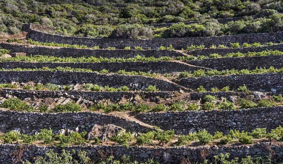 Officina Paesaggio/Pantelleria 2019