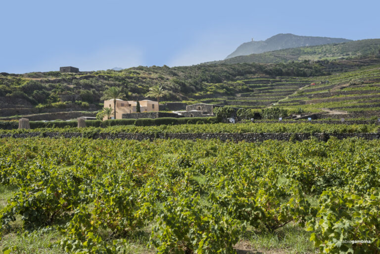 Pantelleria