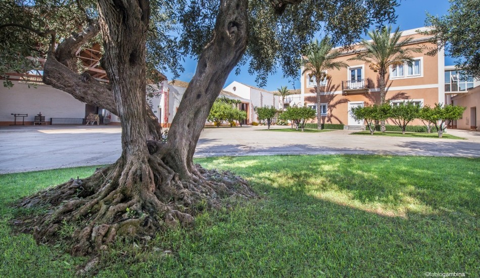 Donnafugata & Slow Food