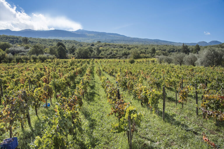 Etna
