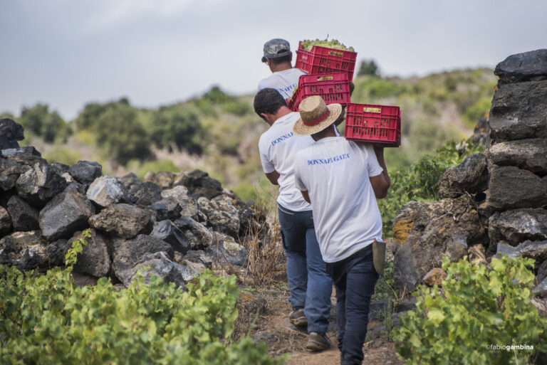 Pantelleria
