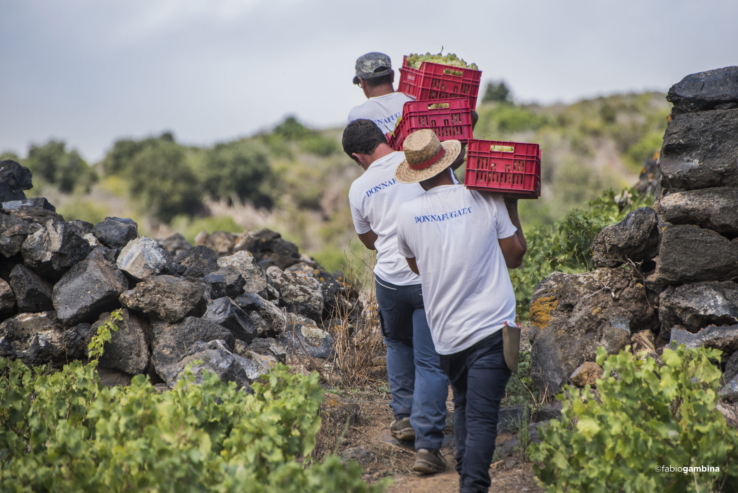 Pantelleria