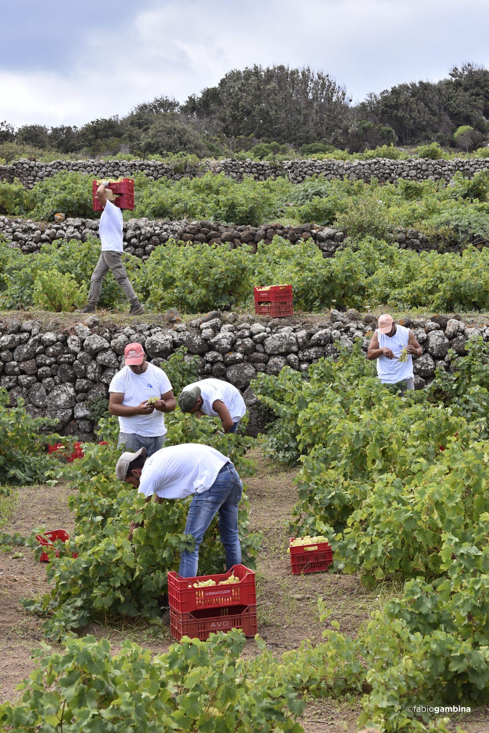 Pantelleria