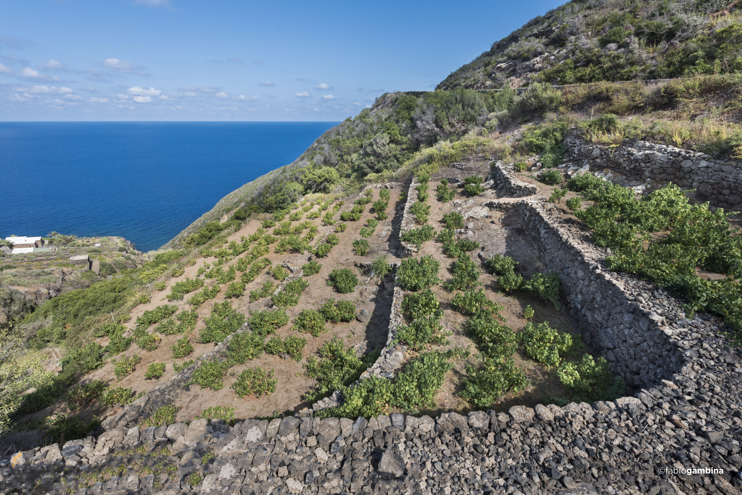 Pantelleria