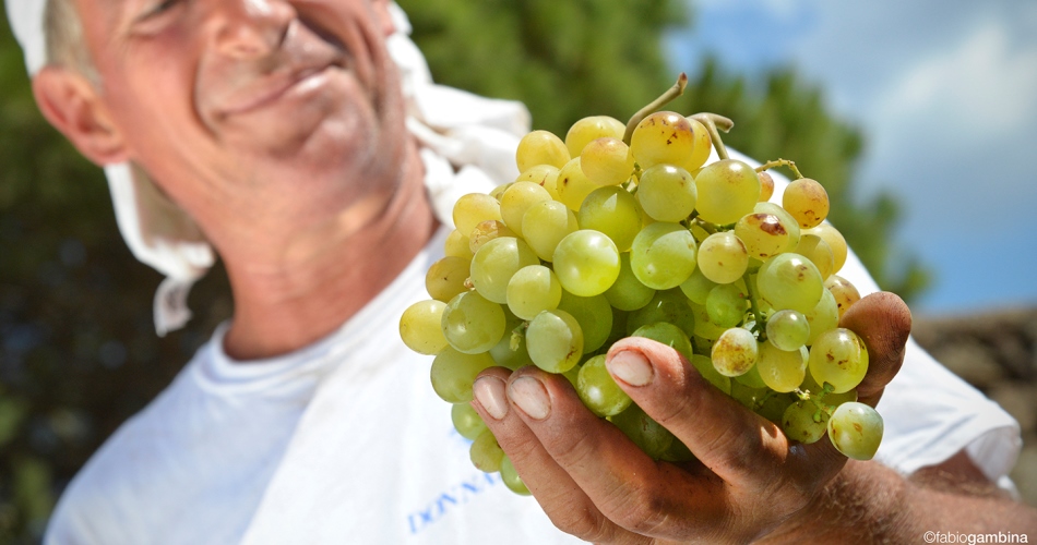 Donnafugata: big new goals reached in sustainability and best practices