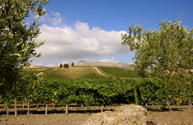 Contessa Entellina