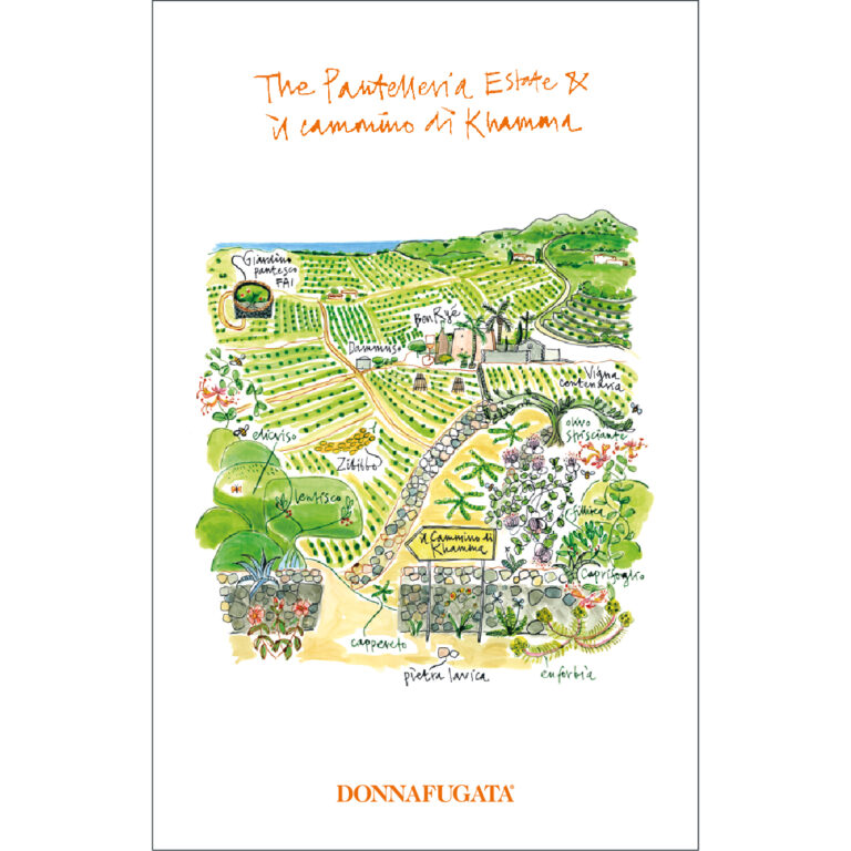 Pantelleria Estate & il cammino di Khamma