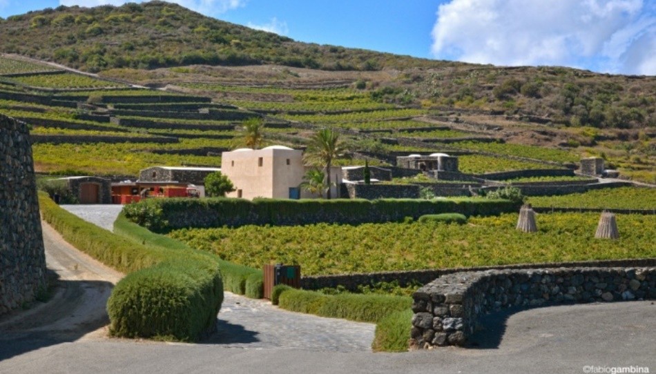 Passitaly: il valore del paesaggio di Pantelleria