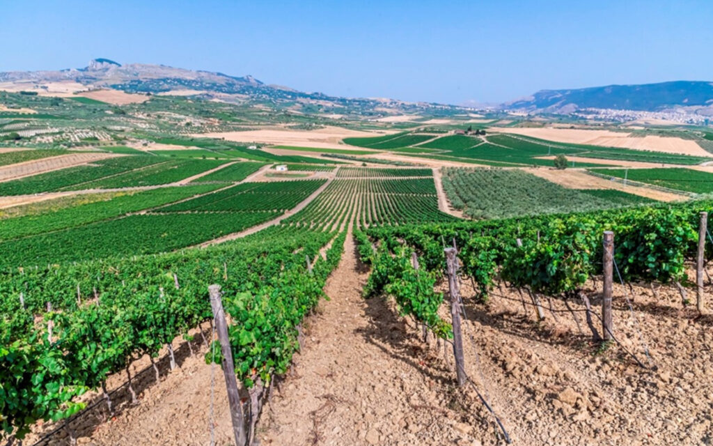 La Vendemmia 2022 a Donnafugata