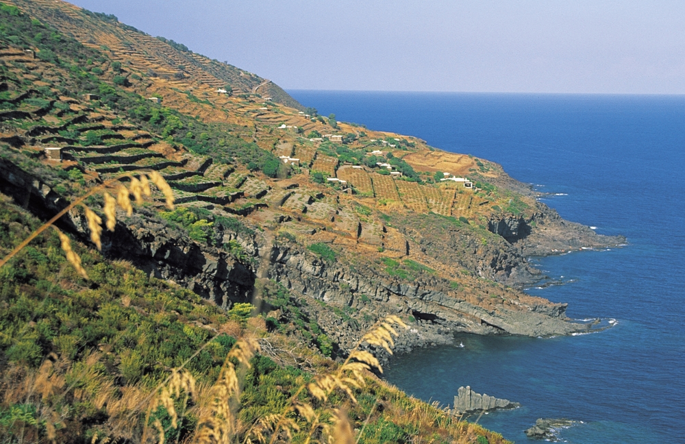 Sostenibilità: le “5 VELE” a Pantelleria e l’impegno di Donnafugata