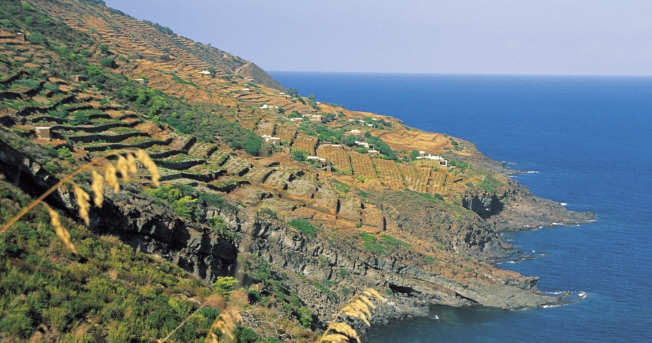 Da Pantelleria, un appello al valore dei paesaggi terrazzati 