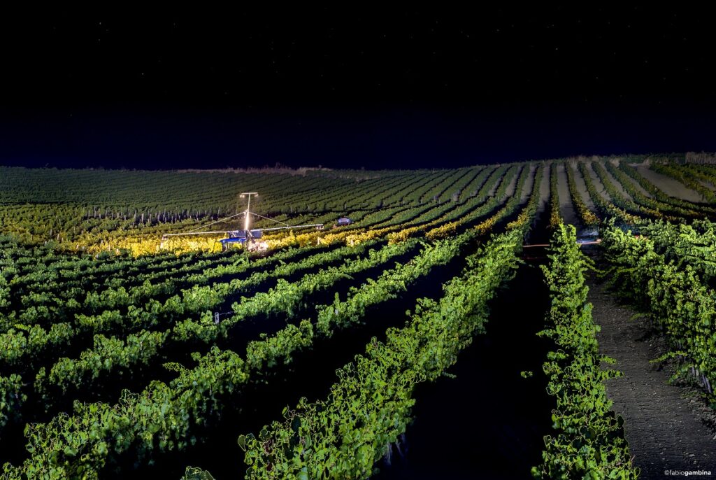 Calici di Stelle 2019 bei Donnafugata
