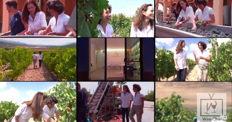 The Rallo Family’s Sicilian Wine Revolution