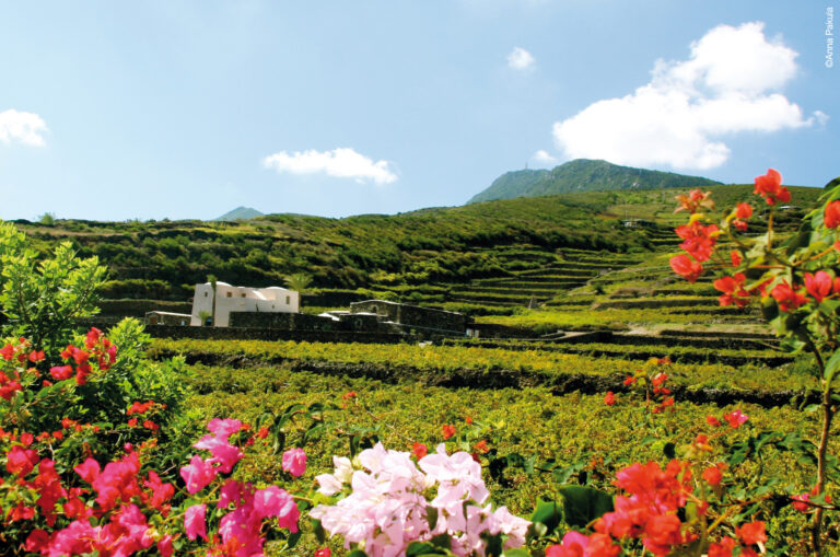 Pantelleria