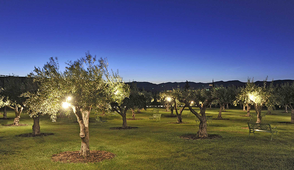 Calici di Stelle a Donnafugata: vino e musica da Mille e una Notte.